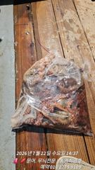 선상 뷔페 식사는 맛나게  문어는 피딩을 즐기세요  사진