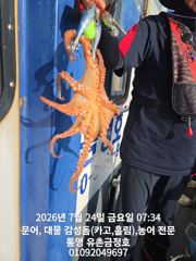 통영 금정호 문어선상 묵직하게 챙겨가십니다 일요일 오후타임 자리있습니다 사진