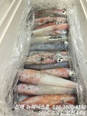 한치 아직 끝나지 않았습니다  일요일 예약가능 사진