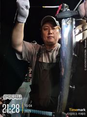 [갈치] 31일 금어기 해제일 한치,갈치 병행출조 합니다  사진