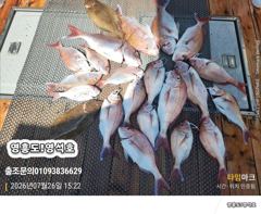7월26일참돔타이라바(6분출조) 사진