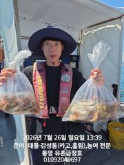 통영 금정호 오전문어 묵직한 조황! 내일자리있습니다 사진