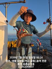 통영 금정호 문어들 다시 잘나오기 시작합니다 내일 오전자리있습니다 사진