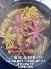 통영 금정호 오전문어선상 묵직한 손맛조황입니다 내일자리있습니다 사진
