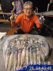 7월 27일 제주포세이돈호 한치조황 입니다  사진