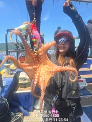 통영 송현호))씨알 좋은 왕문어들 밤낮으로 올라옵니다 사진