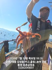통영 금정호 오전문어선상 묵직한손맛조황 내일 주말 여유자리있습니다 사진