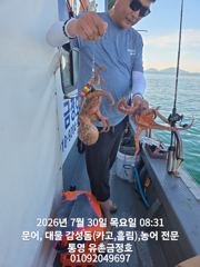 통영 금정호 아침부터 일타쌍피!!! 오늘오후자리있습니다 사진