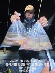통영 금정호 오후문어 키로급이 막덤빕니다 주말 오전오후타임 자리있습니다 사진