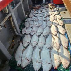 [외수질] 8월1일(토요일) 다잡아외수질 사진