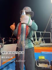 지난밤 갈치.조황 사진