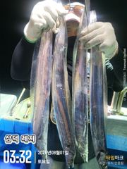 [갈치]대낯부터4지, 새벽반피딩,만쿨,반쿨(월요일,출항확정) 사진