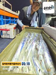 3일입항흥부낚시 밤새 준수한 3지급  수.목 자리여유 사진