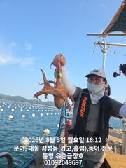 통영 금정호 오후문어 손맛 좋습니다 내일 오전 자리있습니다 사진