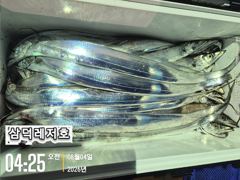 [갈치]3~4지 쿨러만땅,반땅(화요일,출항확정) 사진