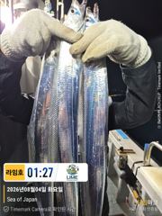 (통영라임호) 8월4일 갈치입항조황!다음주. 예약받아요01023004931 사진