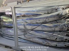 녹동금강호16석 3일갈치조항.예약순자리지정예약제 자리별차등요금제 010-4058-2266  사진