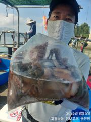 점점더 좋아지는 녹동돌문어 ~ 사진