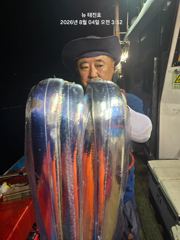 뉴 태진호  왕갈치 씨알급들 쿨러조황!!!( 오늘 번출 모집)!!! 사진