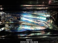 [진해] 내만갈치  은갈치. 금,토,일요일 예약가능합니다 사진