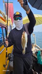 [서산,태안] 지렁이 맛나보이게 자알 끼우시고 기다리시면 후두둑~!! 백조기배… 사진