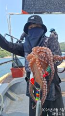 오전5시30분 오후6시출항돌문어