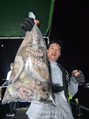 삼천포 문어조황! 주간반 , 야간반 매일출조!
