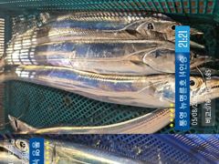 ＜＜통영 뉴명륜호 14인승＞＞ 3지 이상 大치들!!! 쿨러조황^^ (예약 010-7100-1685) 사진
