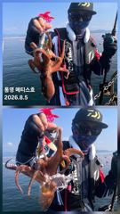 [통영] 통영] 문어 사량도 굴어장 조황 4일(화), 5일(수) 통영 메… 사진