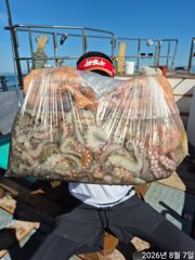 급 야간문어낚시하고 왔습니다  사진
