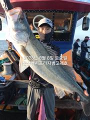  8/8, 생미끼~쏟아지는 대광어~~날마다 대박~실시간~ "민어,농어,광어~8월 평일, 선비 빅이벤트(선비8만)"~내일도 갑니다~~ 군산 범고래호 사진