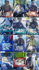 [인천] 8월8일 인천 테슬란호 백조기 조황입니다~~^^ 사진