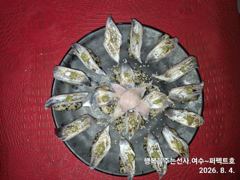 [여수,광양] 여수 퍼펙트호 갈치외줄 꾸준한 만쿨 조황 철수 할때까지 줄타기