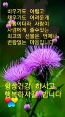 ※※※※돌문어쉬는날※※※※ 사진