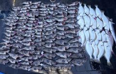 << 팀 인천 루키나 >> 08. 08. 2물 << 루키나 V 반도골 제대로 터졌다 >> 사진