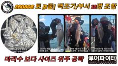 8/8 토 [2물] 백조기/부서 12명 조항 입니다. 사진