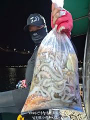 [먹물조황] 삼천포 문어조황! 주간반, 야간반 매일출조!