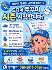 [여수⚔️창성호⚔️] 금어기해제 9월1일 쭈꾸미 8자리여유! 사진