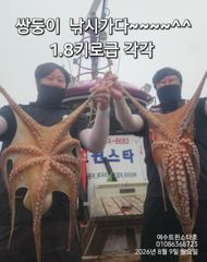 태풍급바람에도키로오버들20여수ㆍ17일부터자리가능 사진