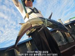 이번 폭풍이 끝나면 바로 대삼치 사냥이 있습니다!