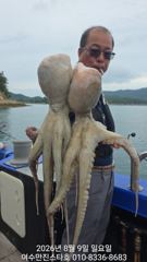 [여수,광양] [ 여수만진스타호 ] K오바 덩어리들 외 장원 23수 대박 조황… 사진