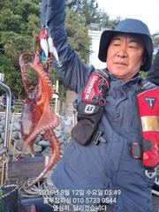 (문어)22시 출발 500g~K급까지 HIT HIT~홍부장피싱(오늘 예약) 사진