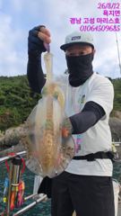 수요일 무늬오징어 실시간조황 사진