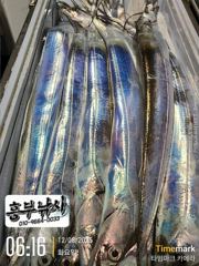 흥부)낼부터 장판날씨 출항 달도없고 물때좋고 2선단 자리여유 사진