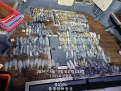 [통영] 넘버원호 무늬팁런 퍼담아요 사진
