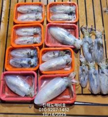 [진해] 야간돌문어 물총쇼 손맛보려가셔요 오늘 예약가능합니다 사진