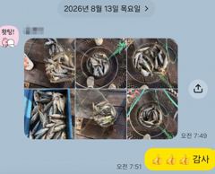 [마산] 마산 원전 선상낚시터 야간 조황 사진