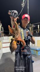 오리온!야간문어!시작부터 피딩과 끝까지 덩어리급이 엄청나게 쏟아져 ~오늘 예약가능 사진