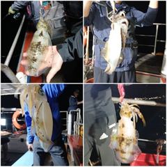 8월15~16일  이런애들 만나러 갑시다.. 저녁7시 무늬출조 사진