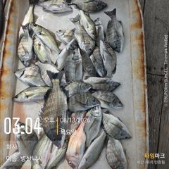[고성] 병산  감성돔36외 마리수,농어 마리수 선외기 흘림조황~~ 사진
